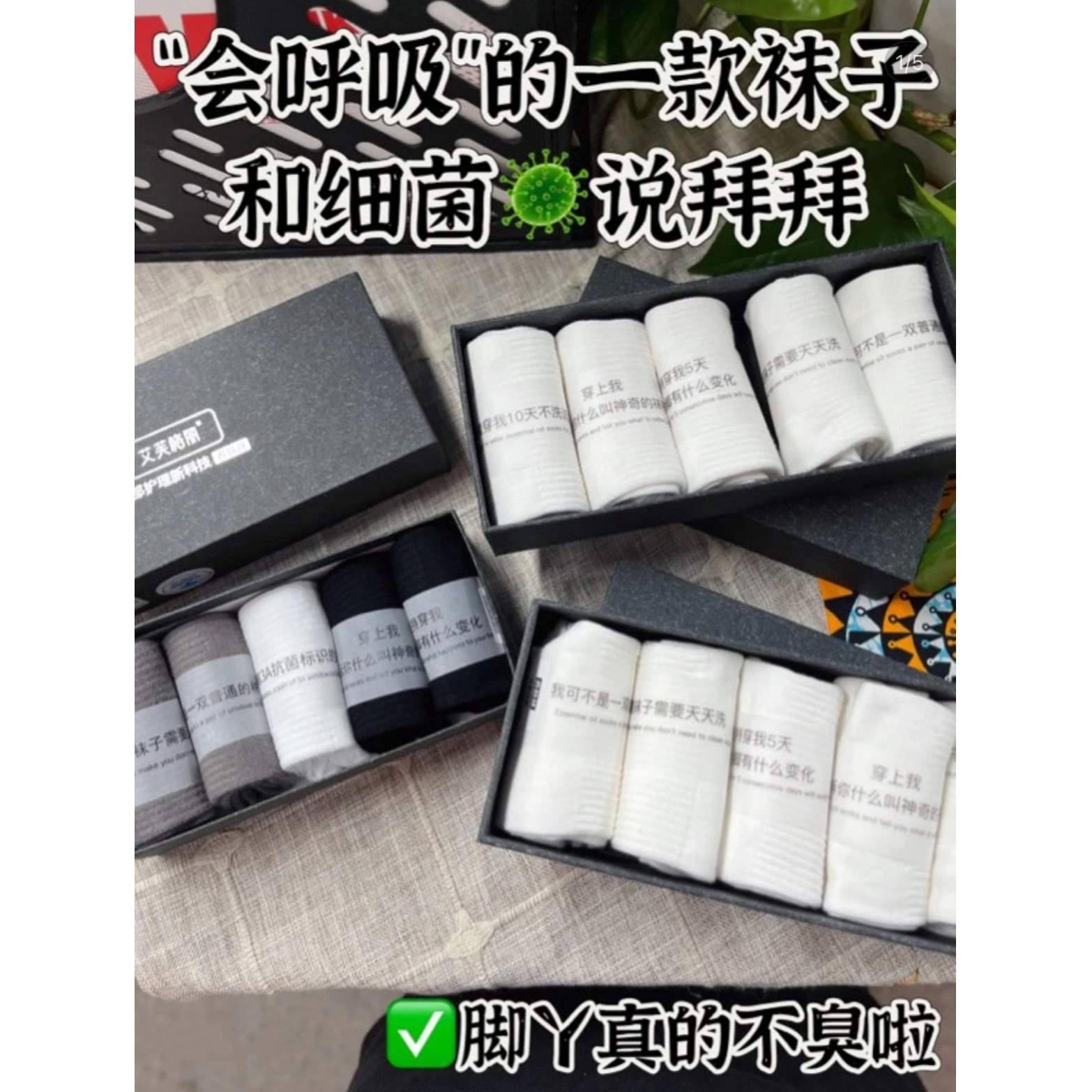 【星光村小飞专属】艾芙格丽防臭抑菌养肤透气纯色秋冬保暖礼盒装