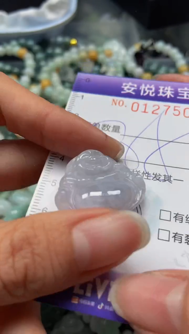 【闪购商品】翡翠颈饰未镶嵌闪购0127509