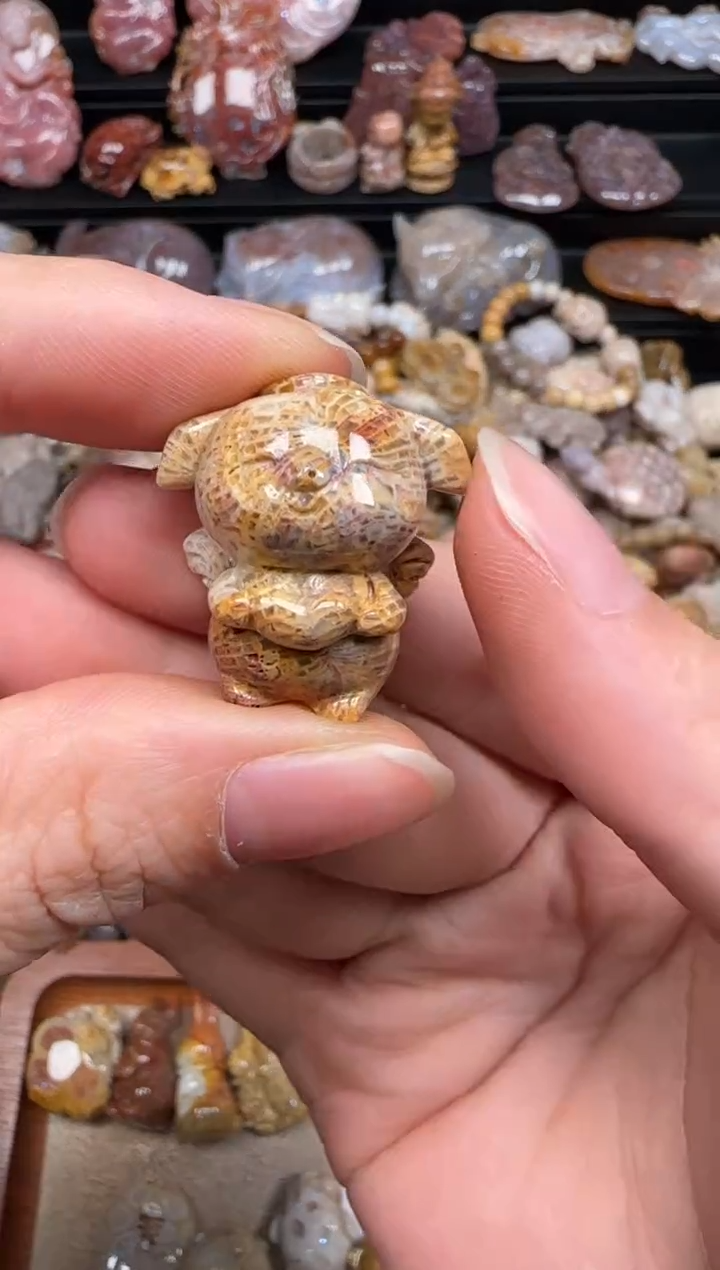 硅化珊瑚（珊瑚玉）未镶嵌颈饰366