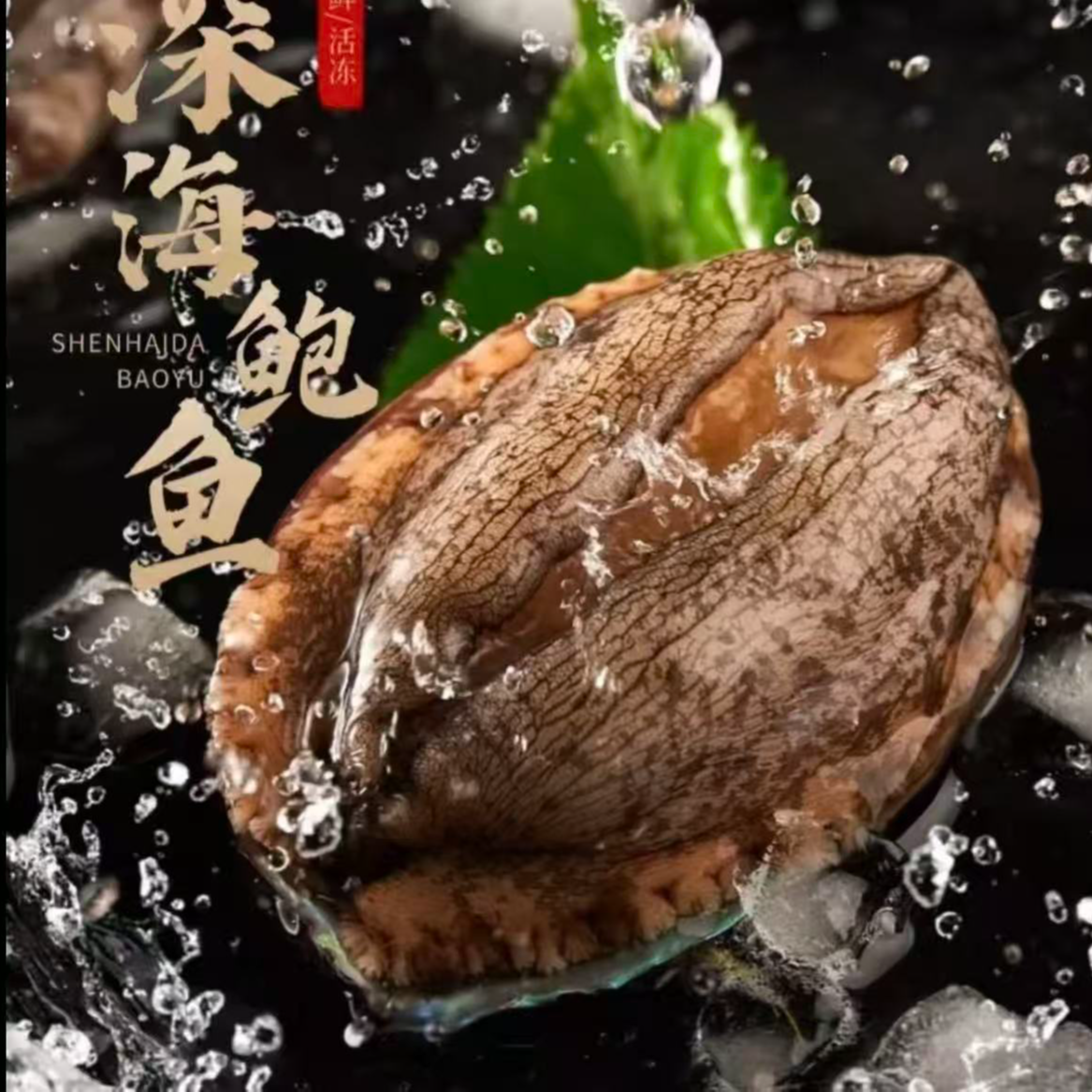 W【新疆包邮】大号鲍鱼肉5-6厘米纯肉速冻 红烧炖肉 生鲜  冷链发货