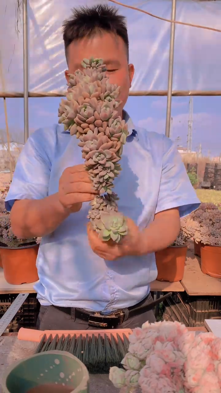 【闪购商品】缀化141