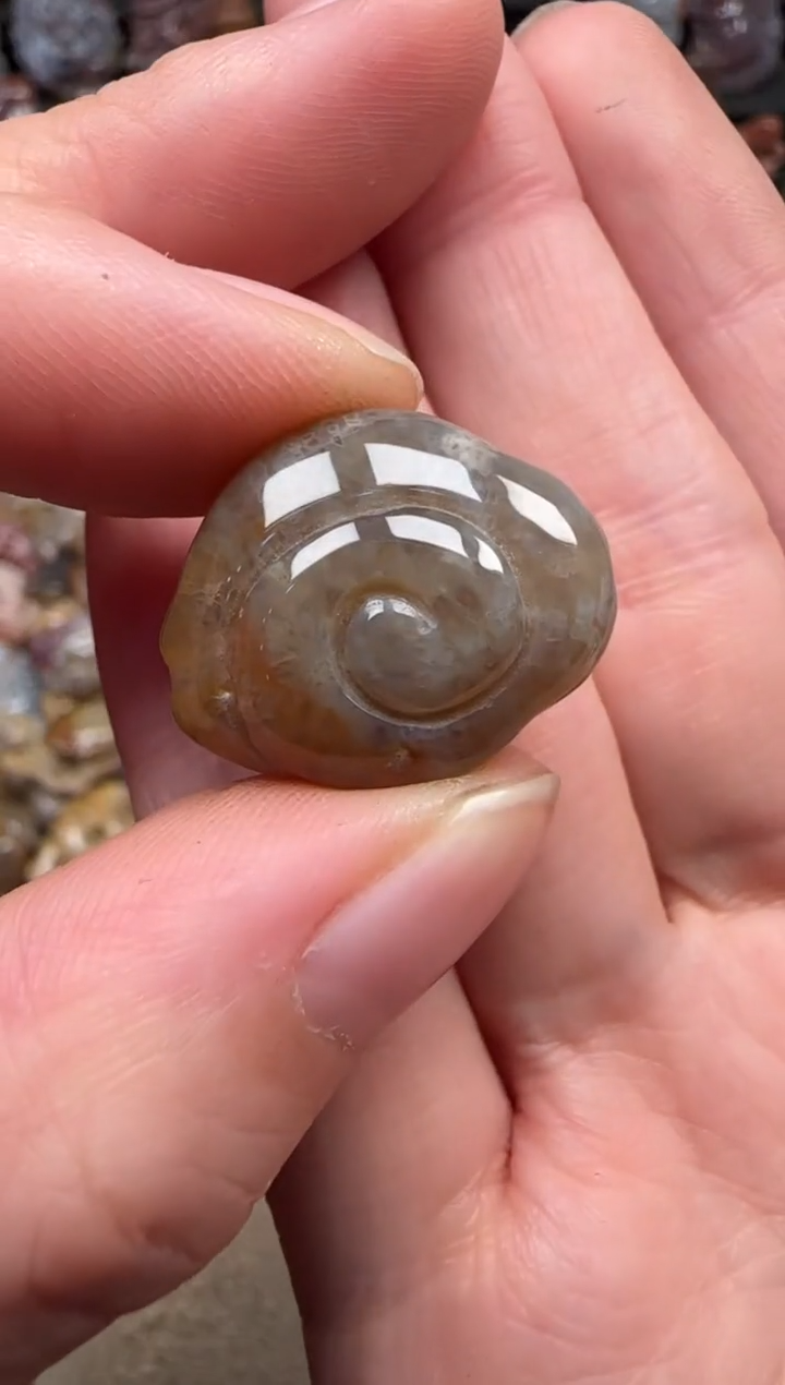 颈饰未镶嵌硅化珊瑚（珊瑚玉）306