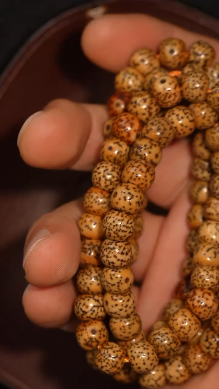 冲赛康胡子哥，藏传念珠118