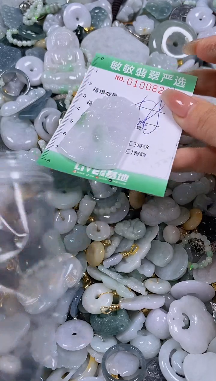 【闪购商品】翡翠颈饰未镶嵌闪购0100823
