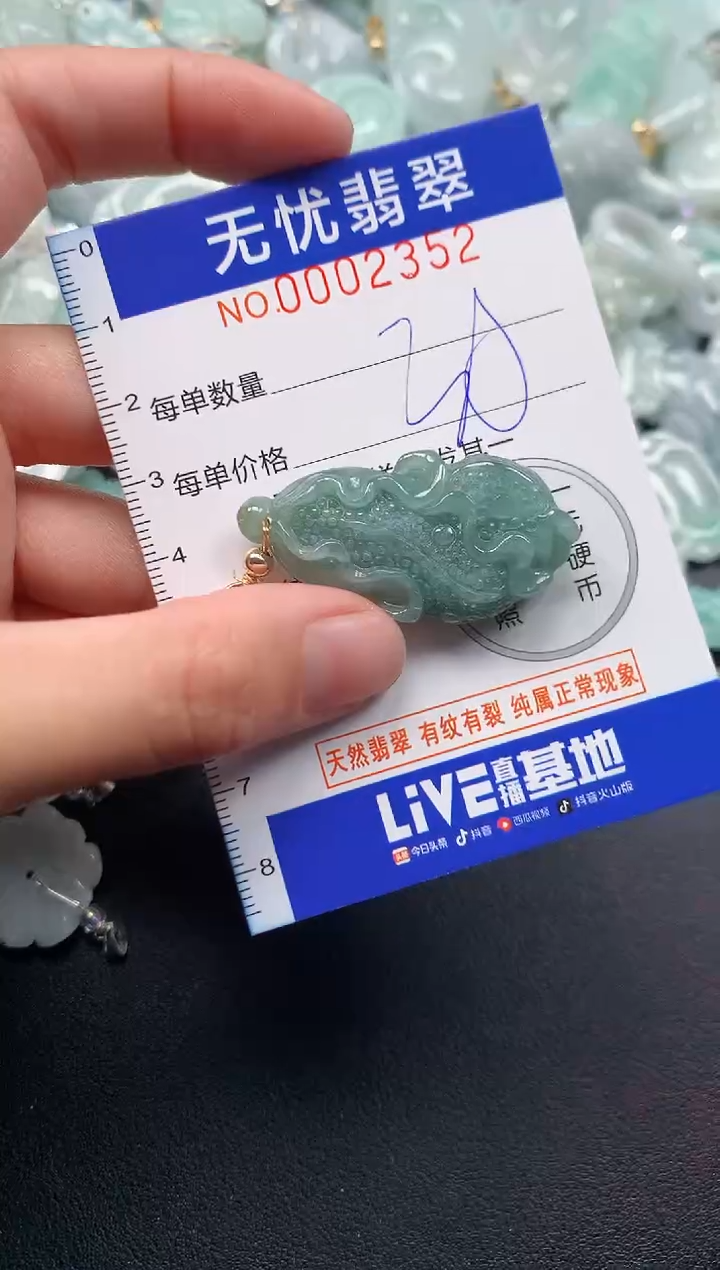 颈饰未镶嵌翡翠2352