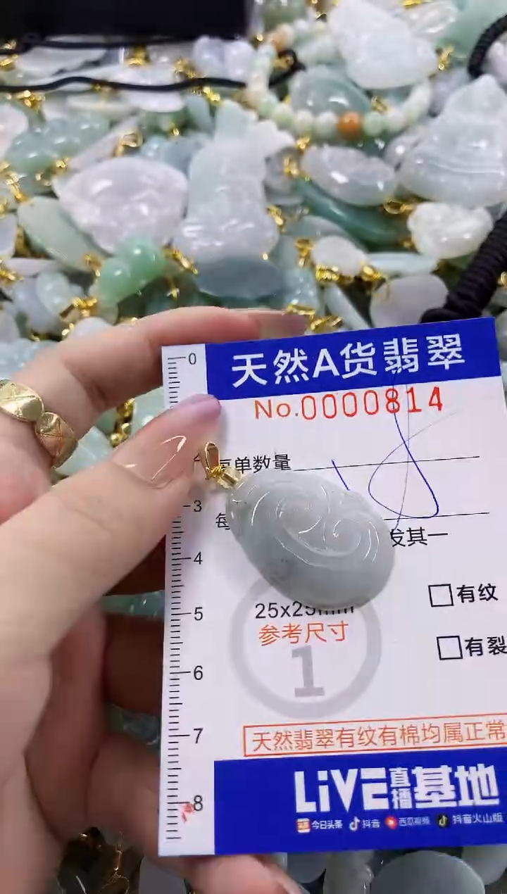 颈饰未镶嵌翡翠天然A货翡翠