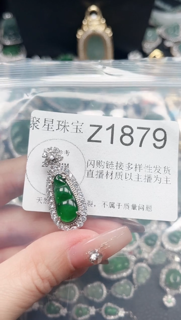 【闪购商品】翡翠颈饰未镶嵌赠皮绳1879