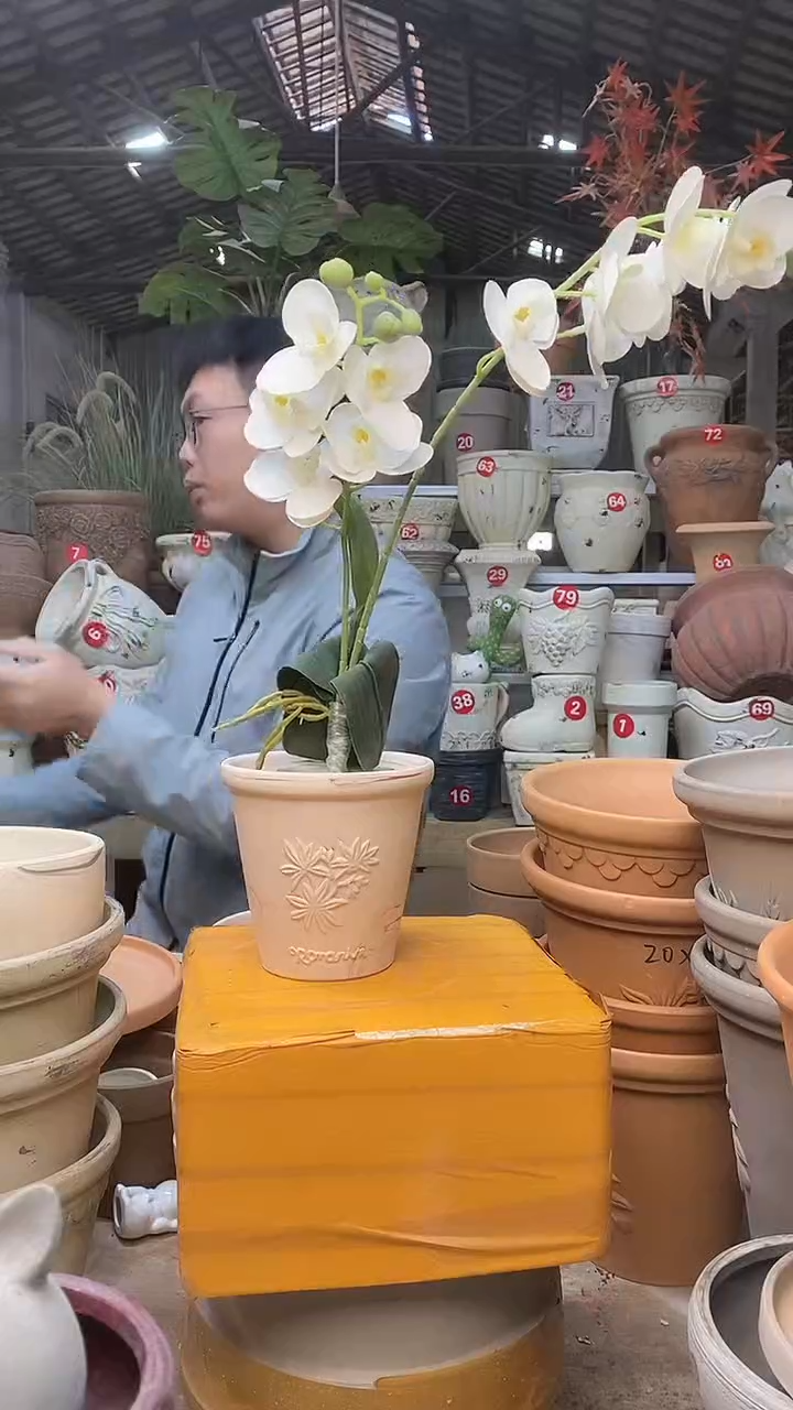 【闪购商品】缸1个13*13（红白）香草无托无托