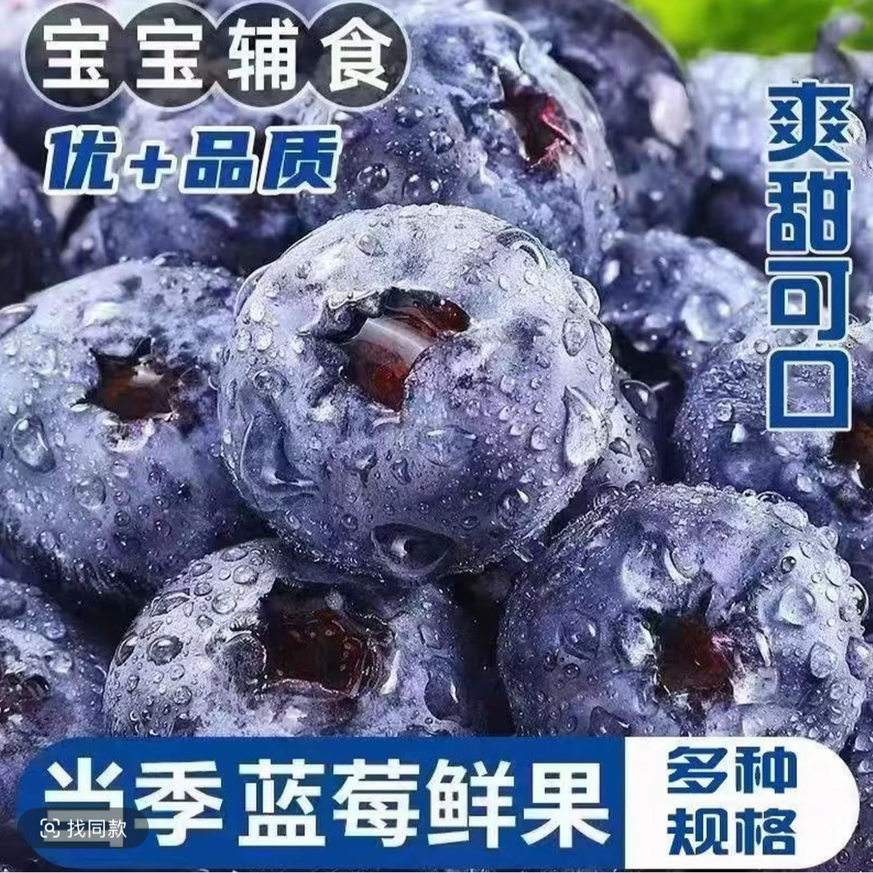 【明天到】新鲜蓝莓 严选当季鲜果 孕妇蓝莓 顺丰包邮发货 云南省
