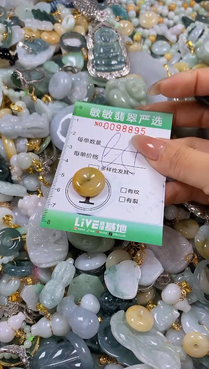 【闪购商品】翡翠颈饰未镶嵌闪购0098895