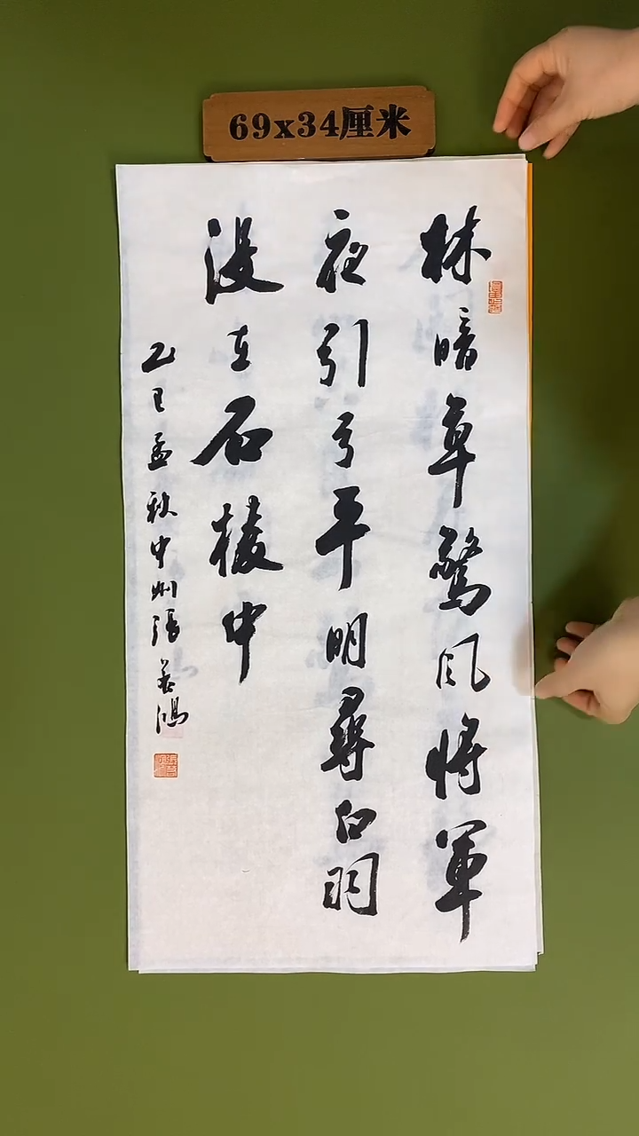 书法书法 张若鸿 尺寸69cm*34cm