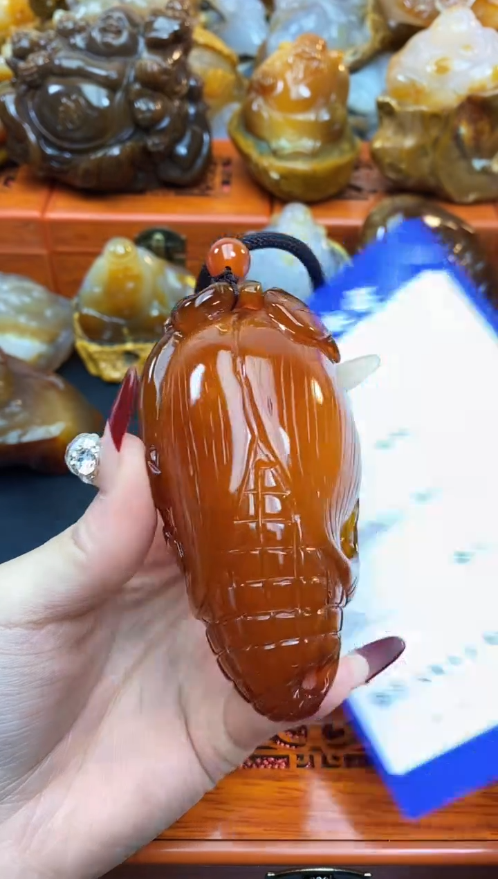 【闪购商品】玛瑙/玉髓珠宝奇石未镶嵌10