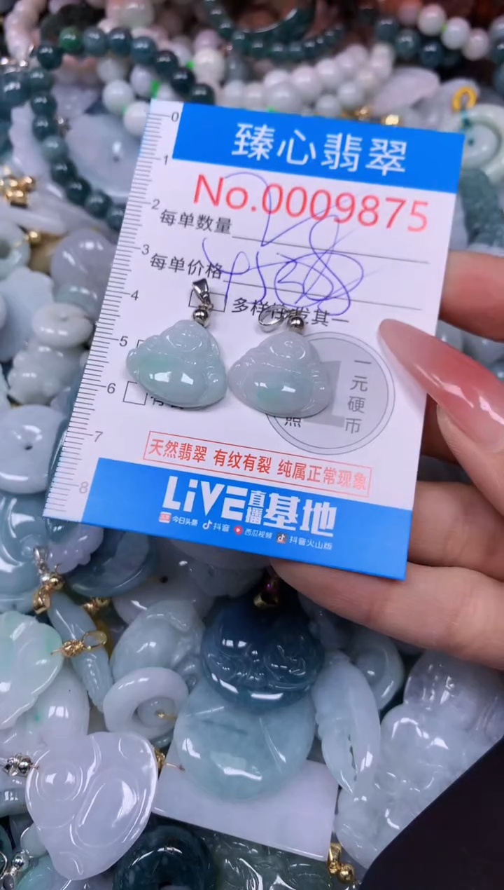 【闪购商品】翡翠颈饰未镶嵌含绳0009875