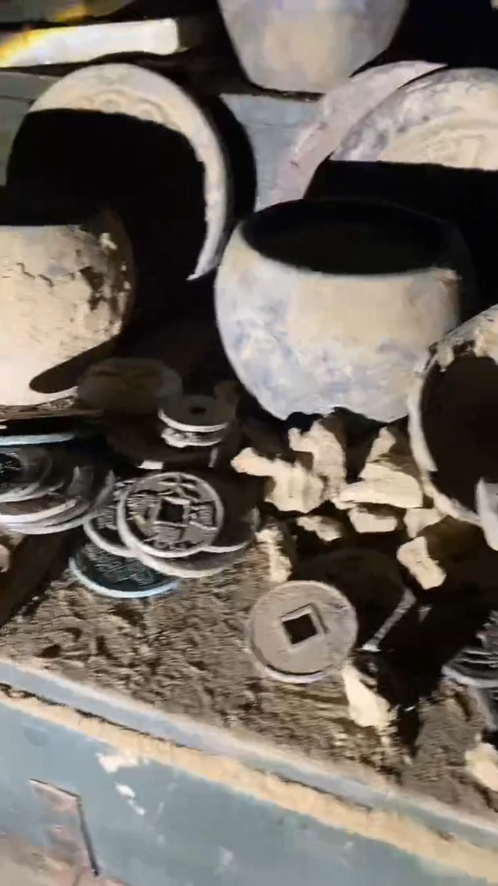 铜 3枚 多样性发一件