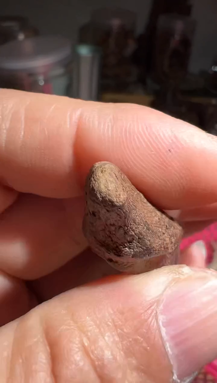 【闪购商品】沉香沉香碎屑加里曼丹3.8克