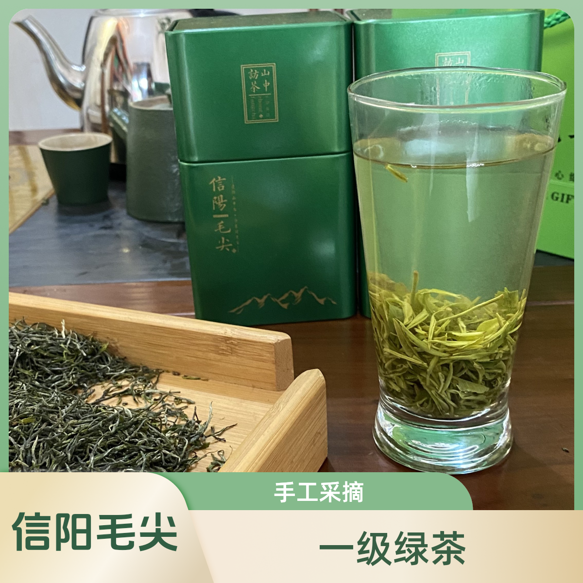 信阳毛尖高山茶2025新茶老旱茶明前三级浓香型