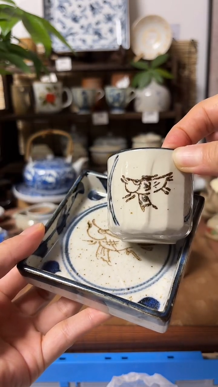 【闪购商品】瓷片喵喵家都是大漂亮