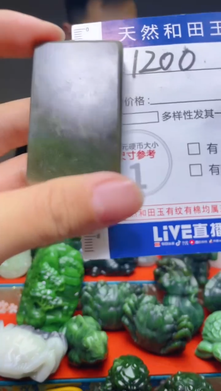 颈饰未镶嵌和田玉1200