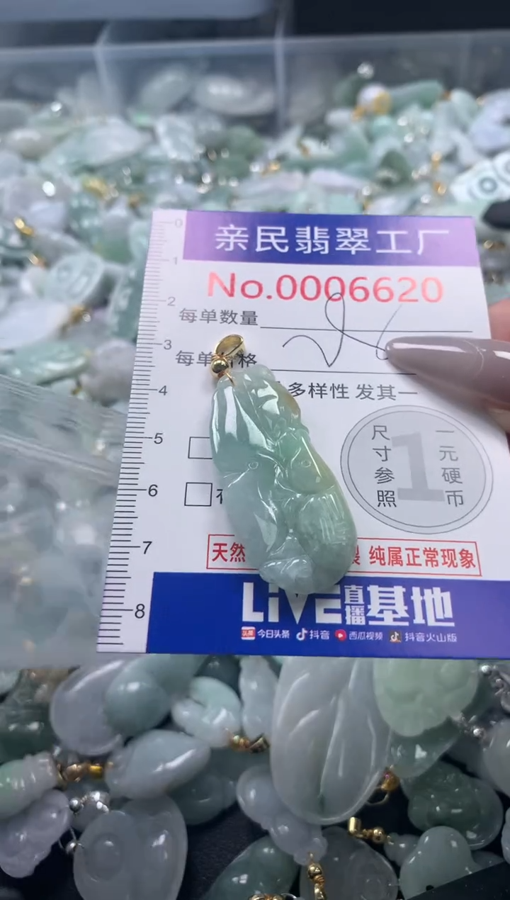 颈饰未镶嵌翡翠662