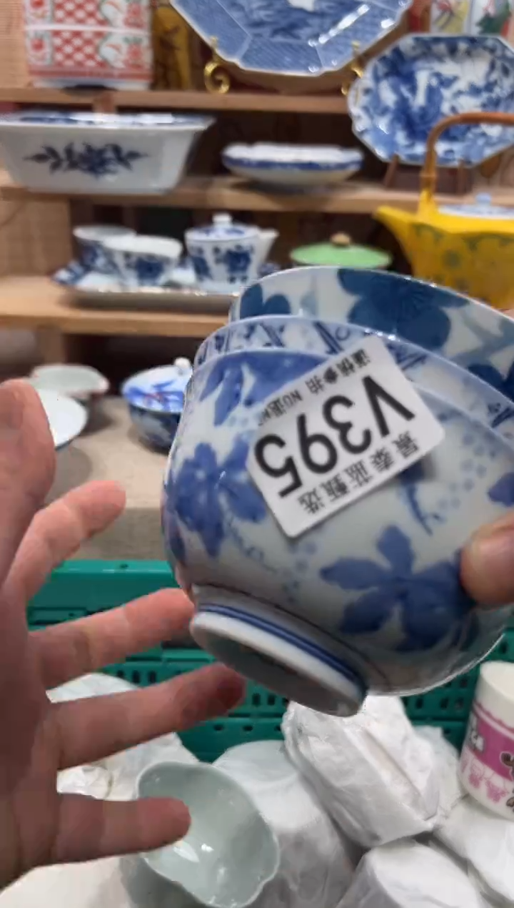 瓷片琪*瓷片------V395