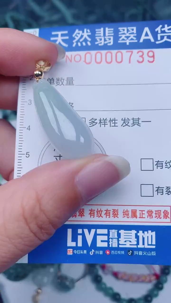 颈饰未镶嵌翡翠00000739