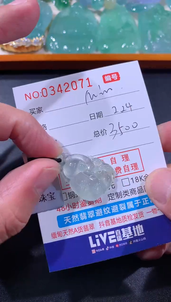 【闪购商品】翡翠颈饰未镶嵌M欢乐