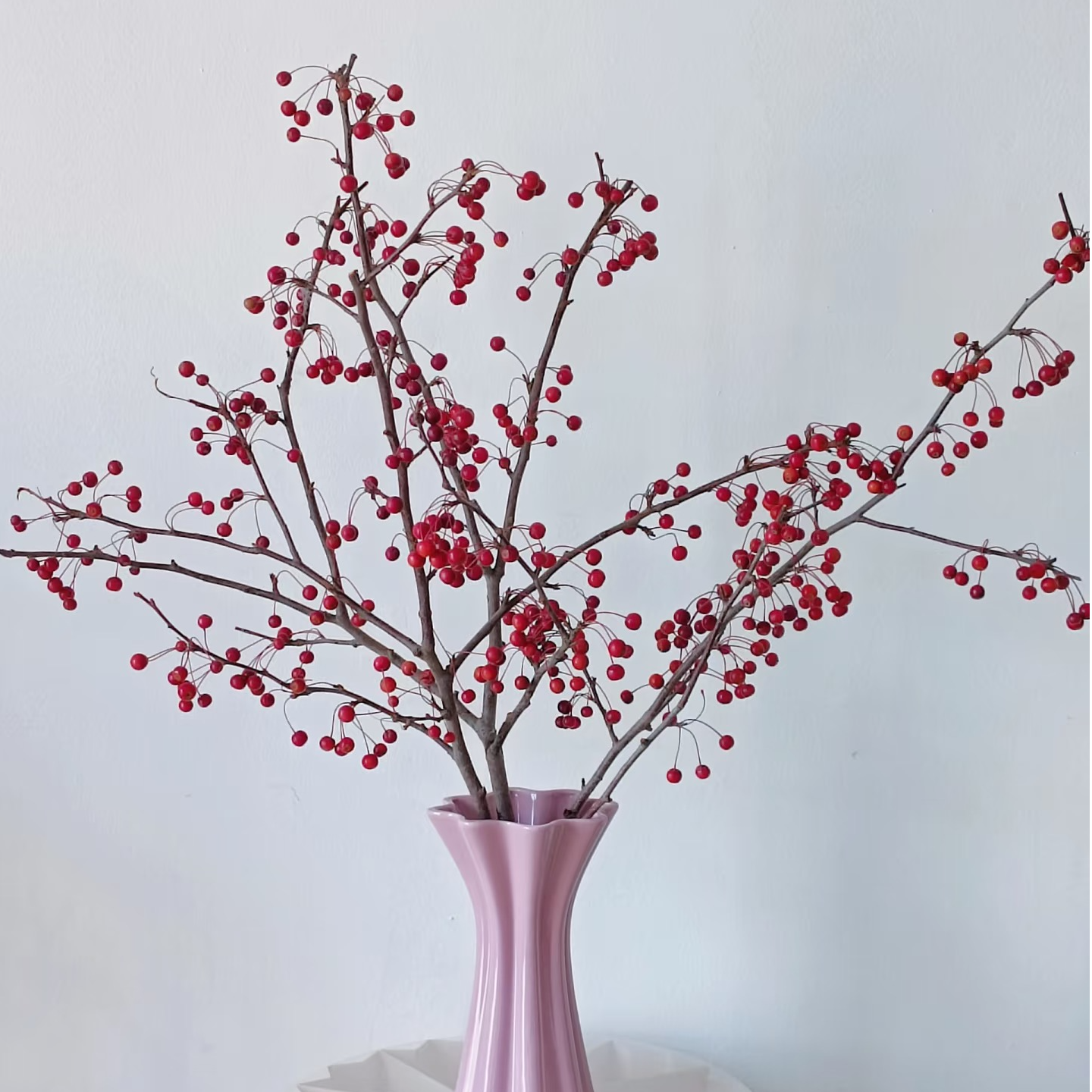 【海棠果】新鲜海棠果年宵花日常瓶插水培装饰