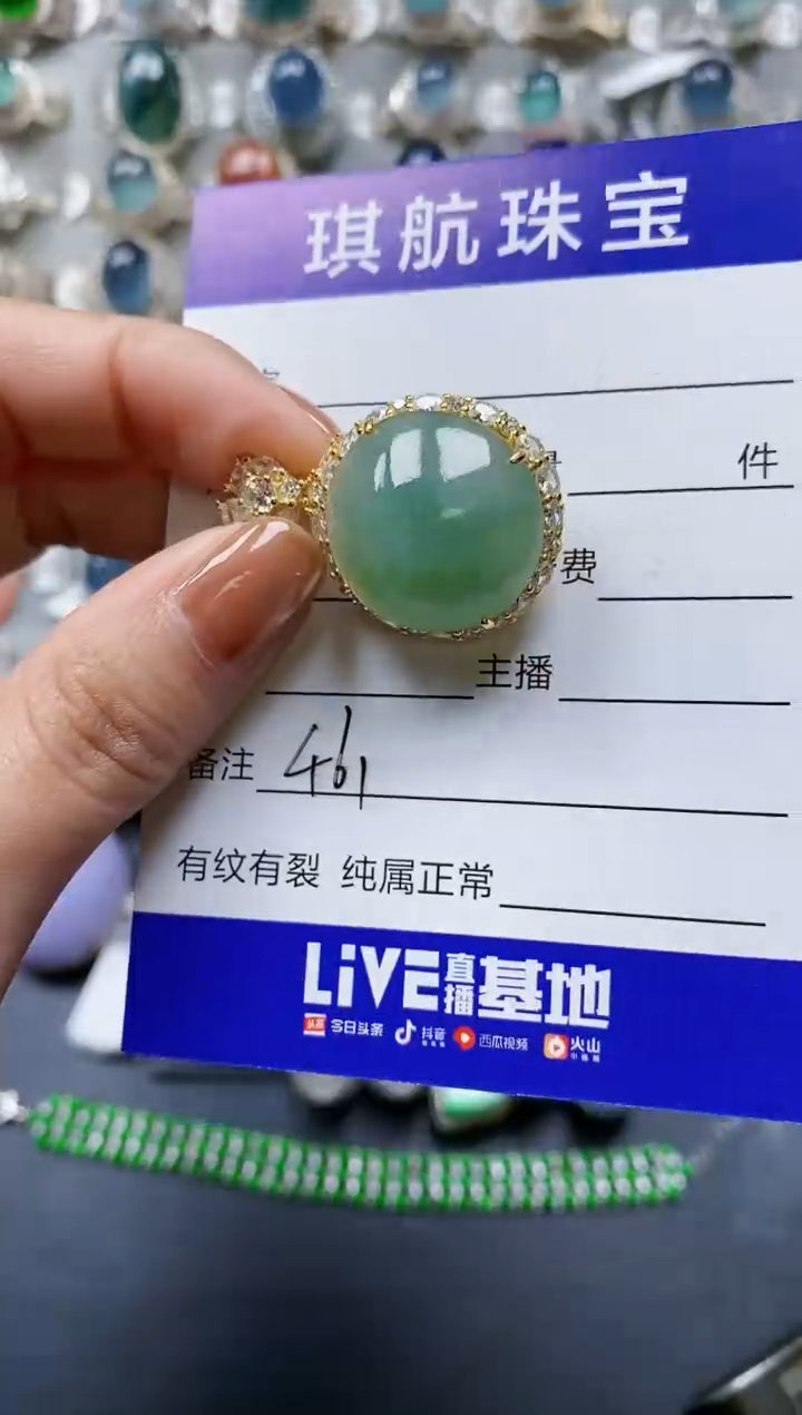 【闪购商品】翡翠颈饰银S925镶嵌0461