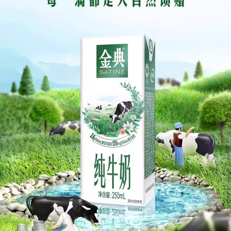 【4月】金典苗条 250ml*8只