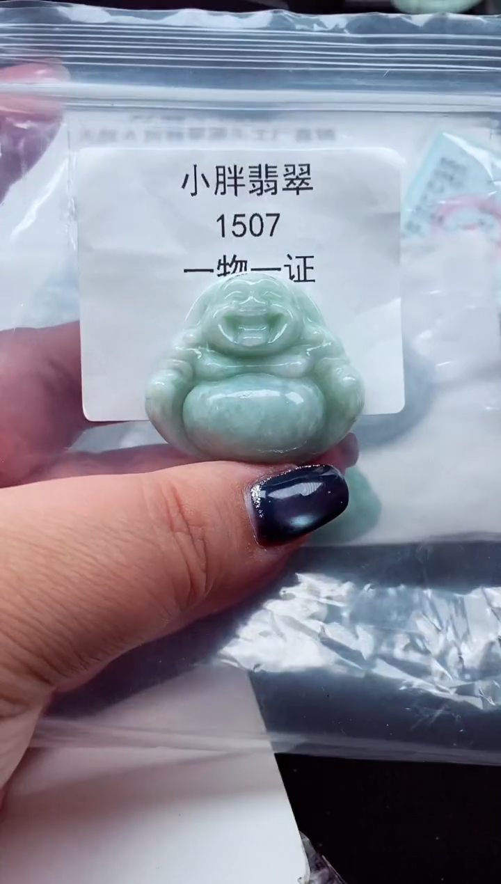 颈饰未镶嵌翡翠缅甸天然A货翡翠1507