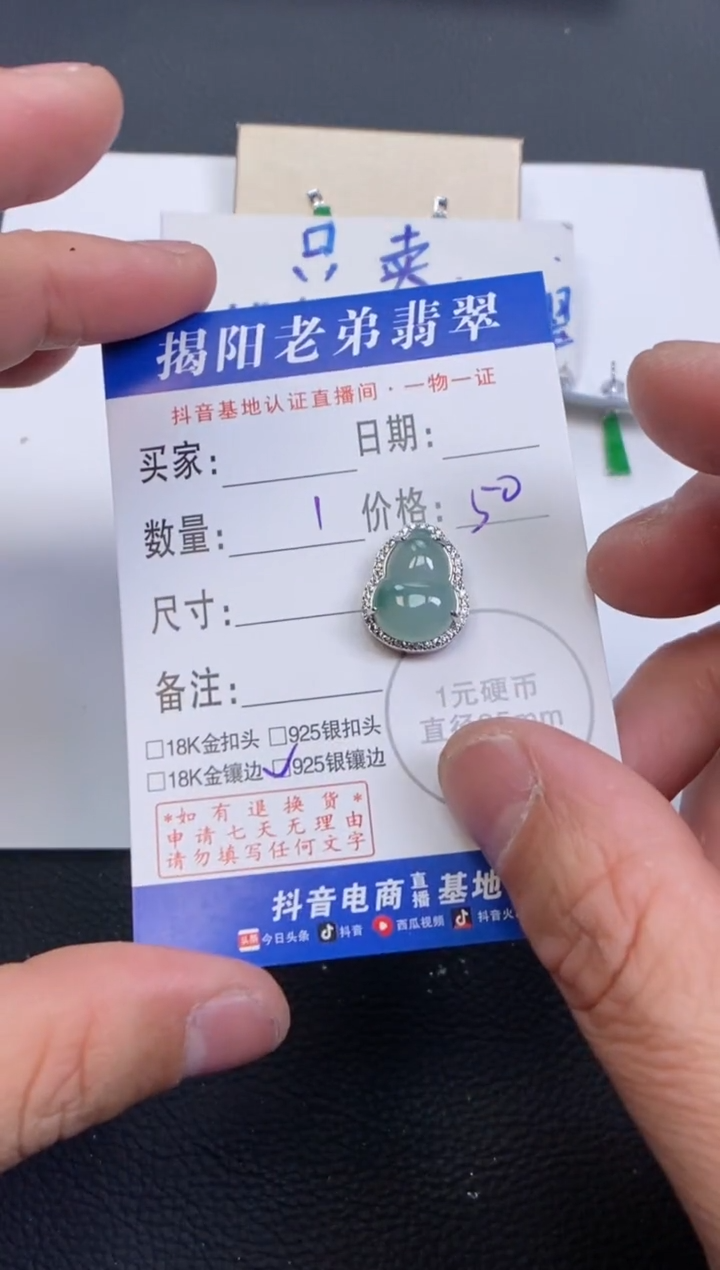 【闪购商品】翡翠颈饰银S925镶嵌多样性发其中一件