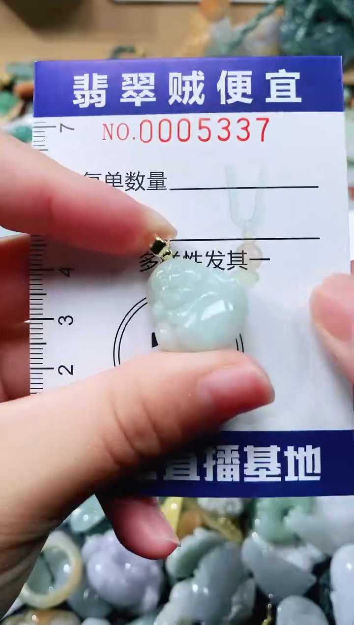 【闪购商品】翡翠颈饰未镶嵌闪购0005337