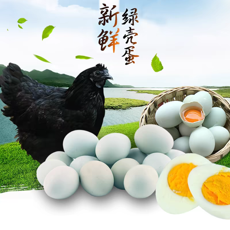 【50枚绿壳】正宗林下散养新鲜绿壳土鸡蛋现捡现发富硒儿童孕妇早餐