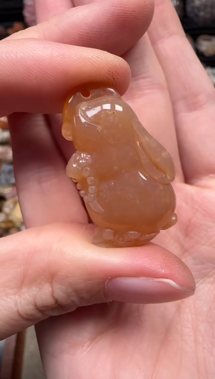 颈饰未镶嵌硅化珊瑚（珊瑚玉）241