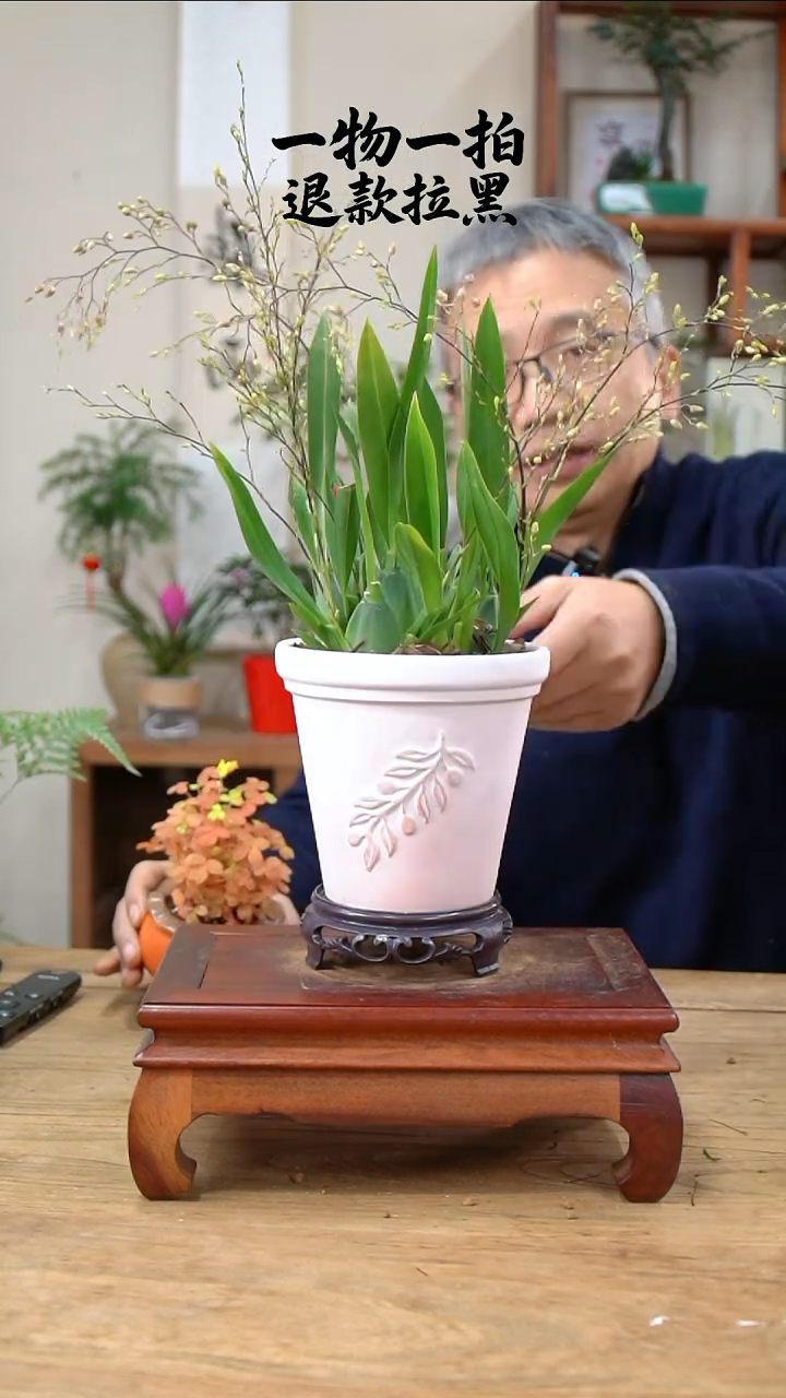 完全开放s****u文心兰326