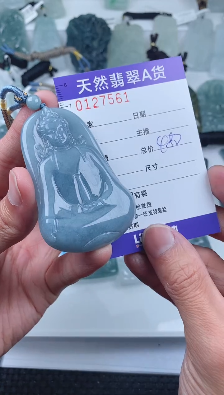 【闪购商品】翡翠颈饰未镶嵌        561