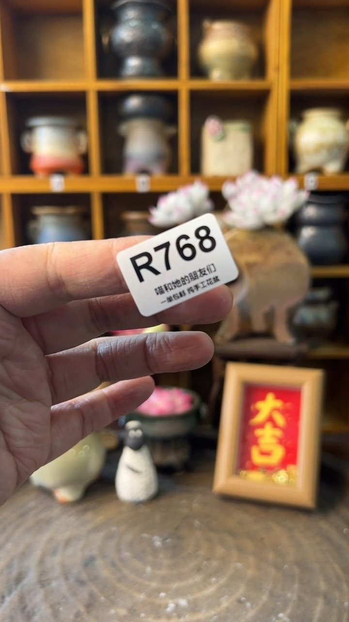 申*768【多肉花盆多肉盆】