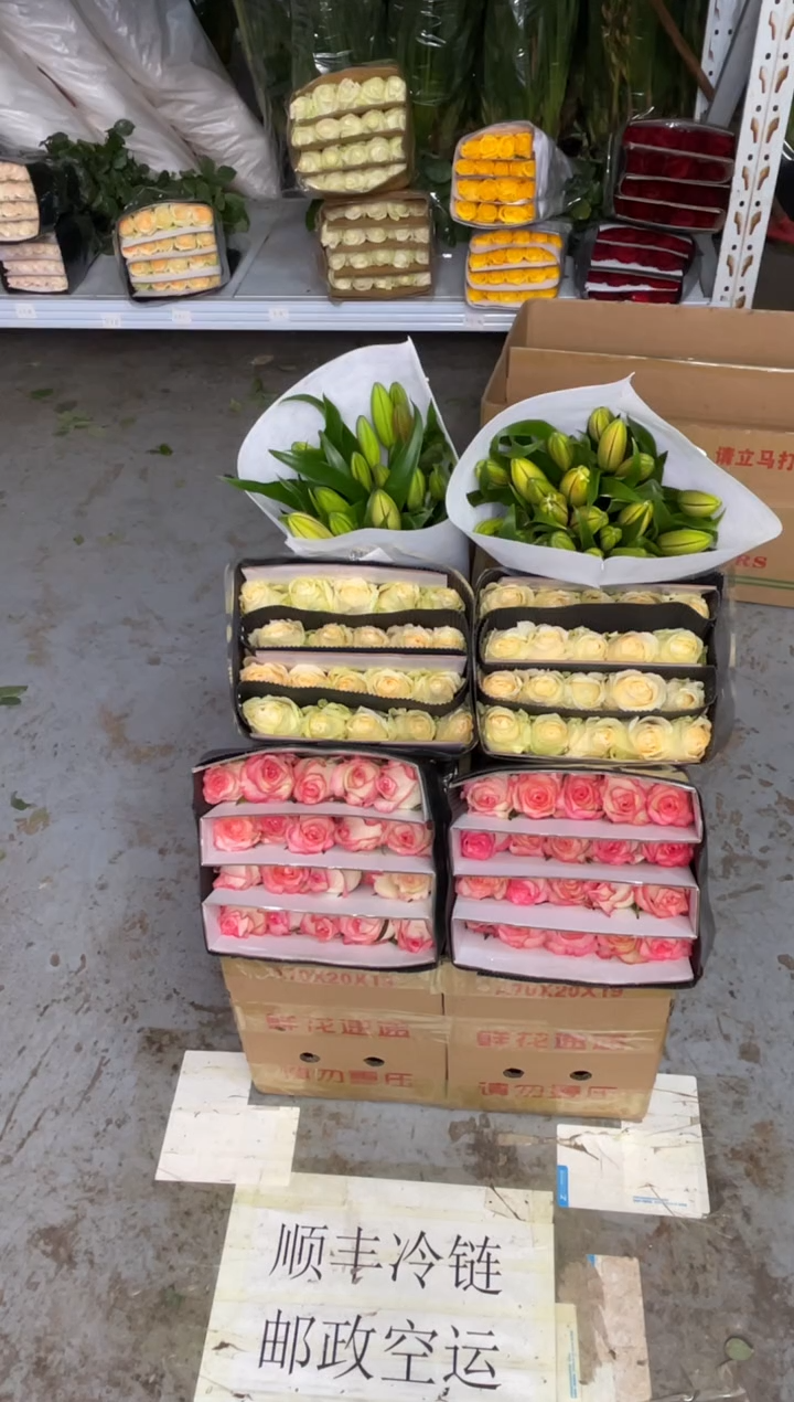 艾沙20枝+香槟20枝+双头亚百合10枝