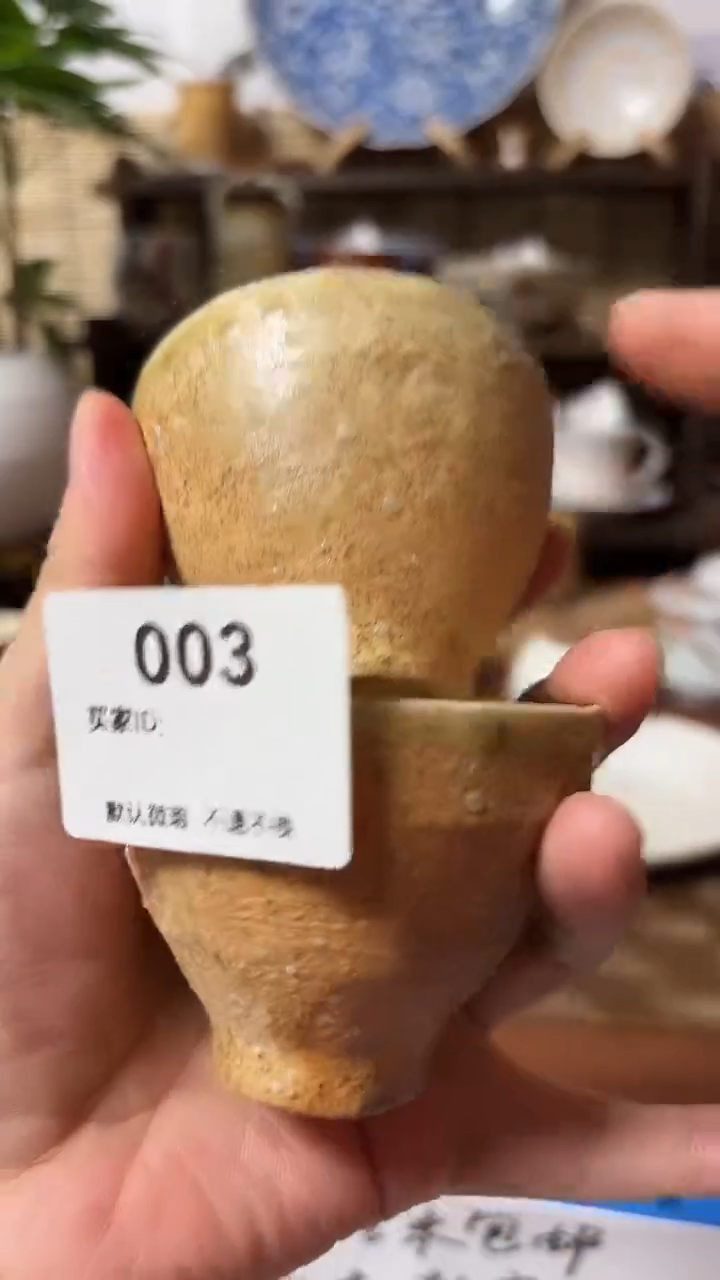 【闪购商品】瓷片喵喵日瓷都是大漂亮