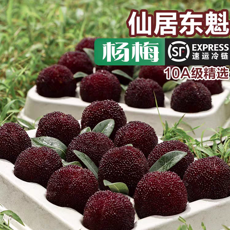 【买3斤送3斤】正宗仙居东魁8A大杨梅顺丰次日达蓝装礼盒装杨梅同城送浙江省