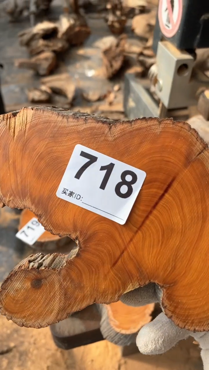 【闪购商品】柏木太行陈化崖柏切片