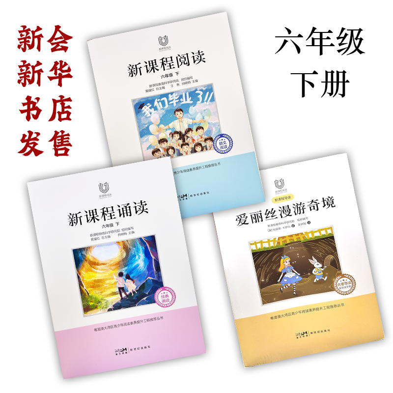 下册 广东版 小学六年级 新课程丛书 购买前请看商品详情
