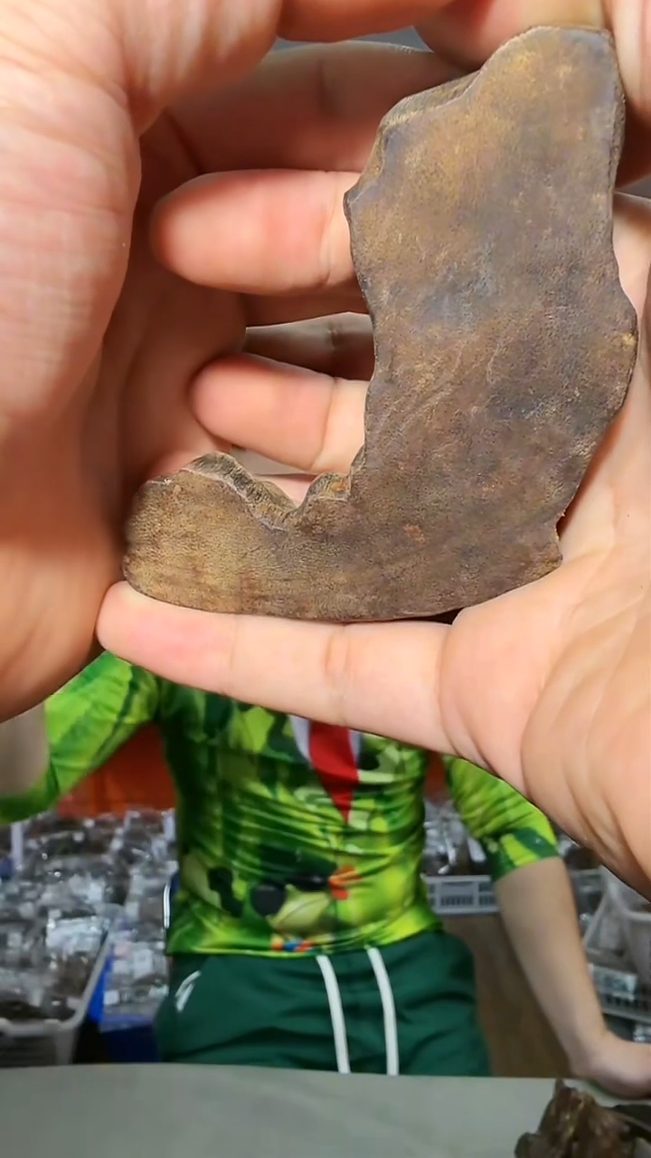 沉香摆件47号红土包头多样性发一