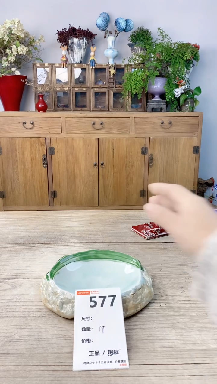 小玩子花盆直播号577