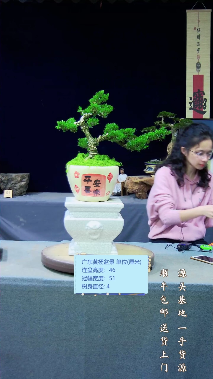 【闪购商品】黄杨盆景艺术黄杨盆景艺术