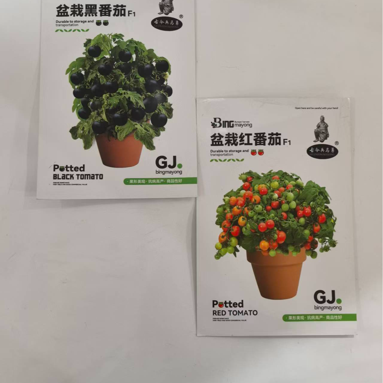 盆栽黑番茄种子适合家庭种植的优质选择