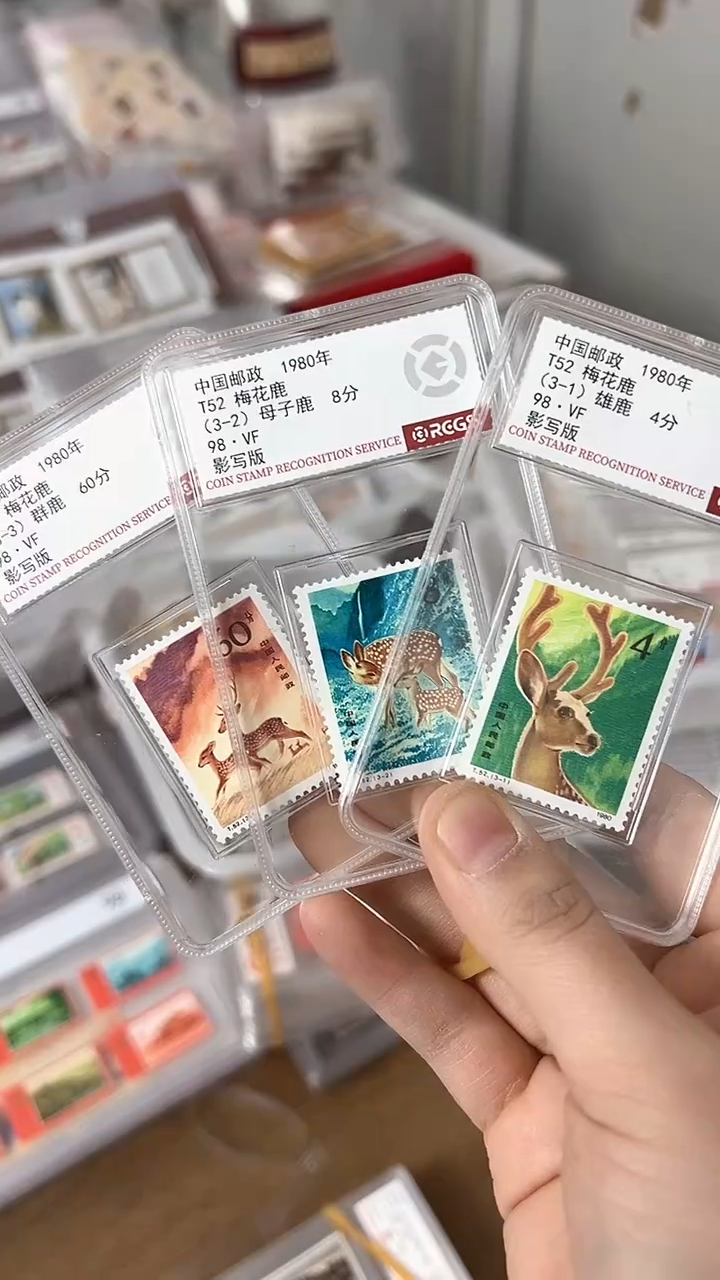 【闪购商品】T52梅花鹿（店铺发货）