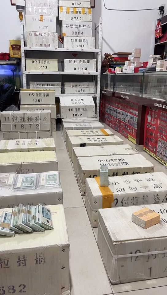 【闪购商品】2冠的金腰带龙凤胎2000张无347