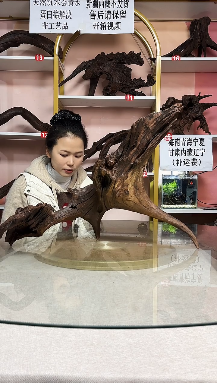 四*鱼缸沉木造景素材A948