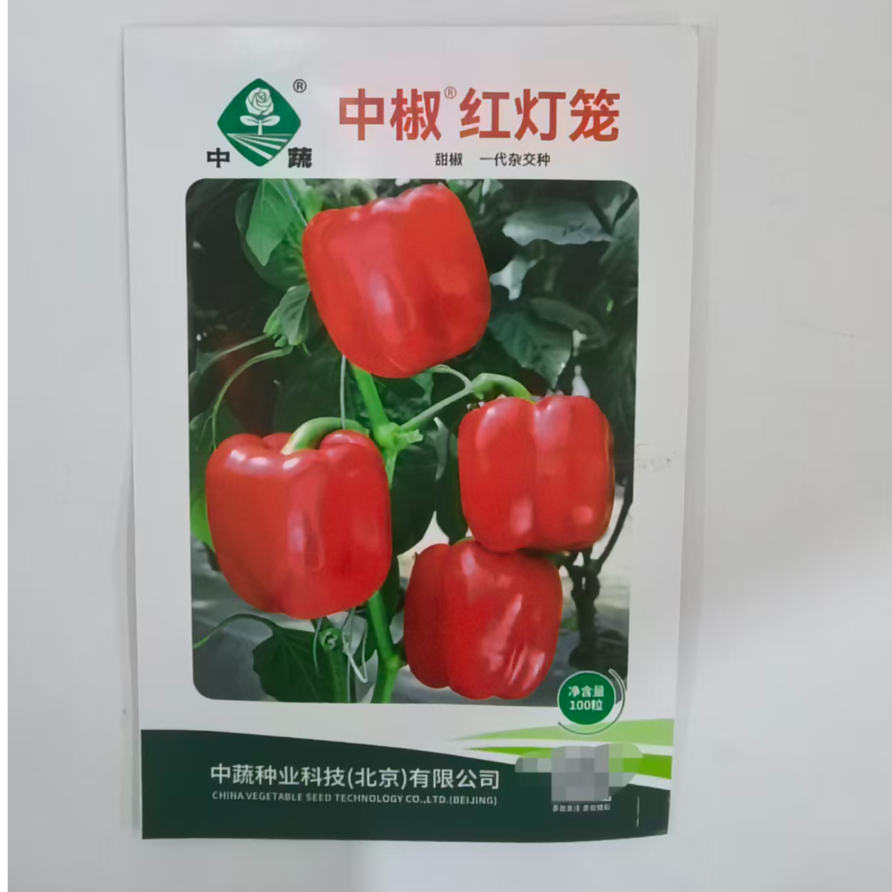 中椒红灯笼甜椒好吃又好看